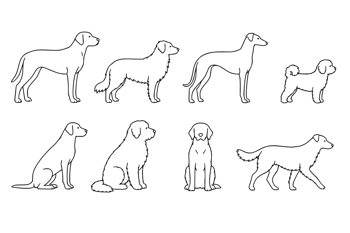 Dog entourage SVG set shown as a rendered representative vector-output preview