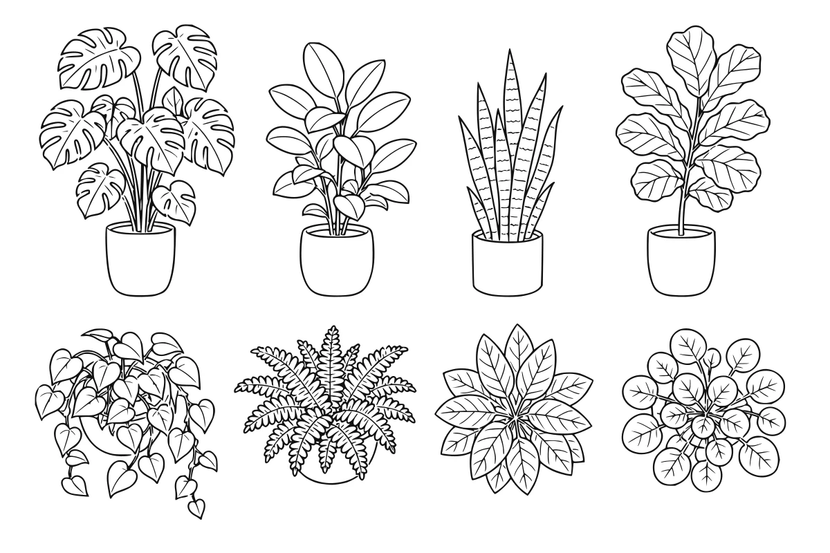 Indoor plant SVG set shown as a rendered representative vector-output preview