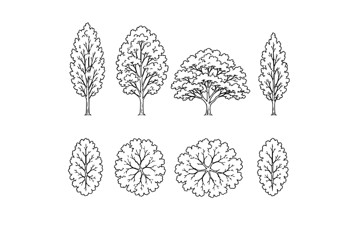Street-tree + canopy SVG set shown as a rendered representative vector-output preview