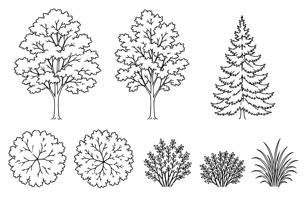 Temperate planting SVG set shown as a rendered representative vector-output preview