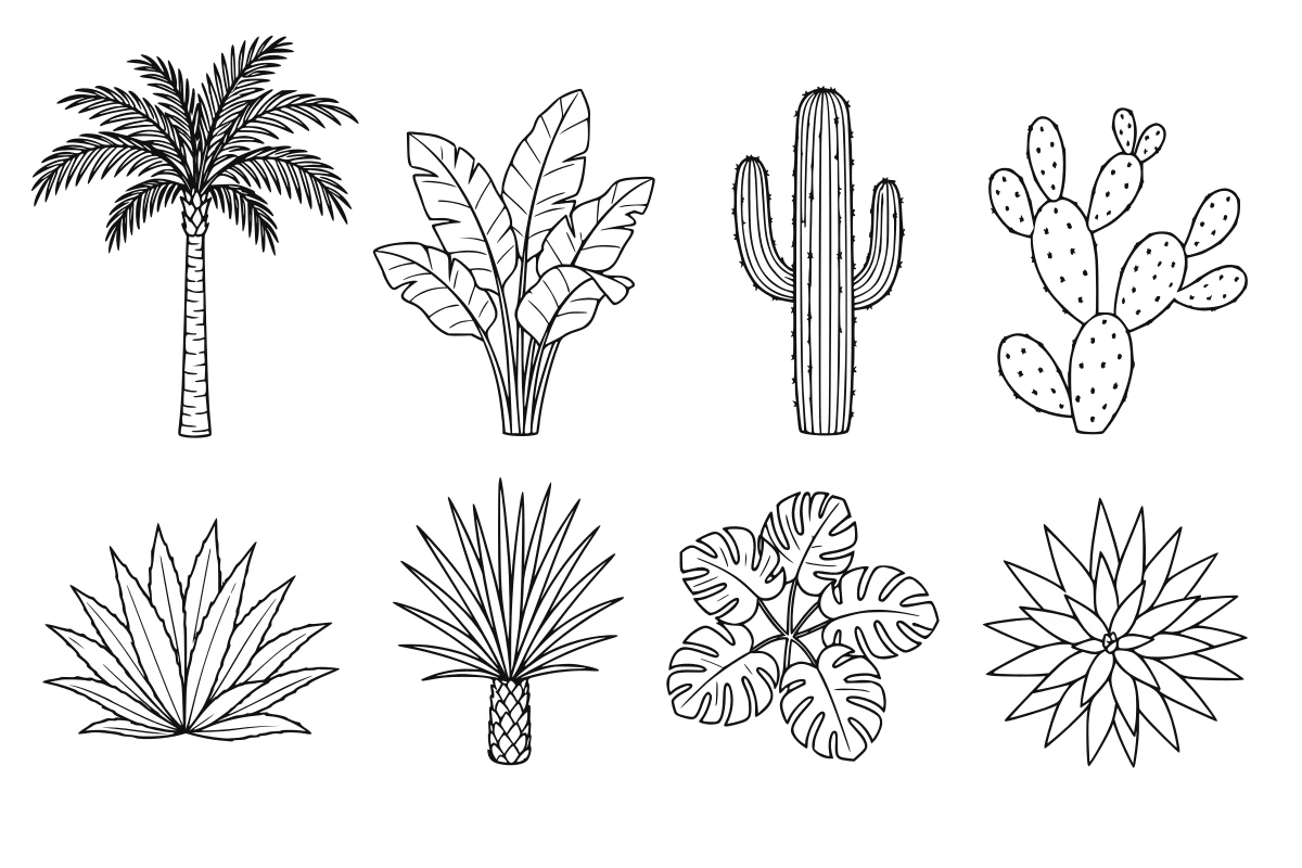 Tropical + arid planting SVG set shown as a rendered representative vector-output preview